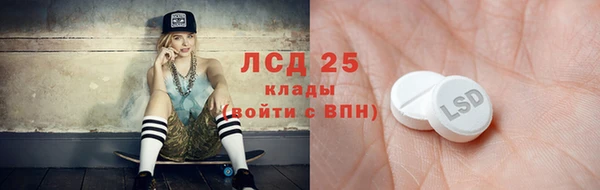 дживик Абинск